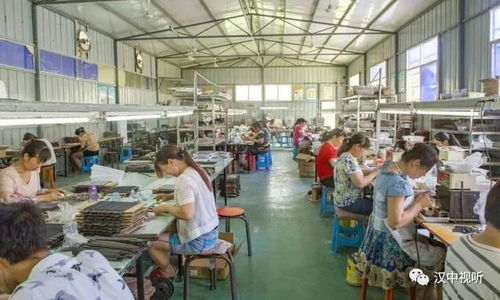 勉縣 從脫貧摘帽到躋身全省十強(qiáng)，智能控制系統(tǒng)研發(fā)點(diǎn)亮發(fā)展新篇